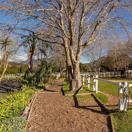 Novelle Vista Cottage Hout Bay Zewnętrze zdjęcie