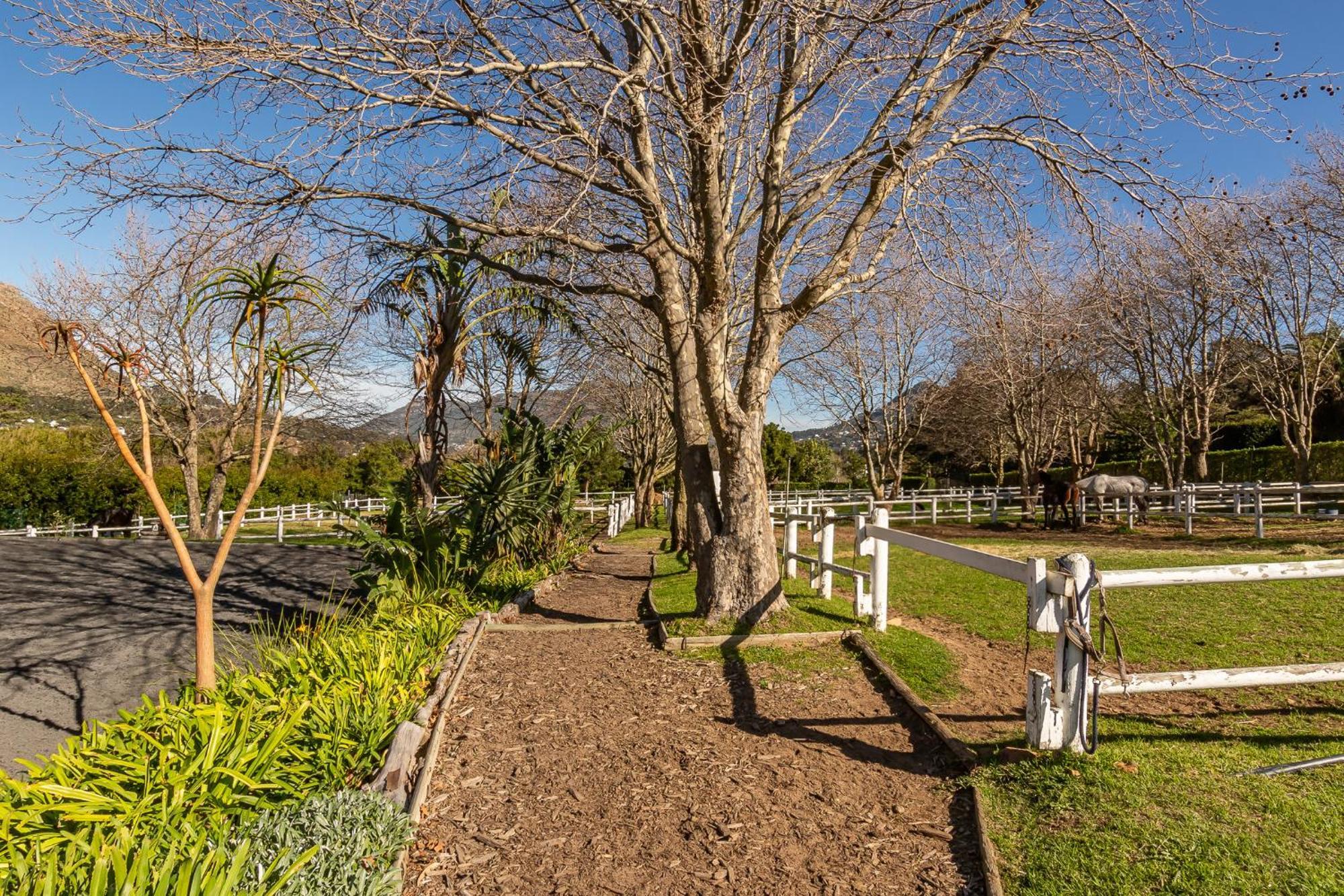 Novelle Vista Cottage Hout Bay Zewnętrze zdjęcie