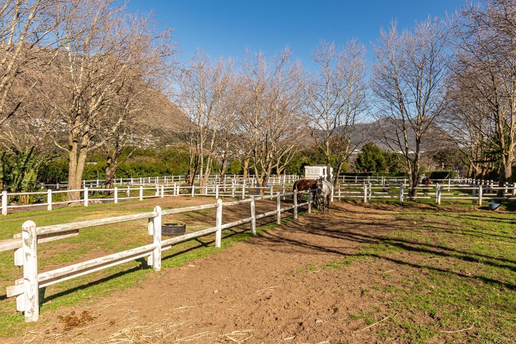 Novelle Vista Cottage Hout Bay Zewnętrze zdjęcie