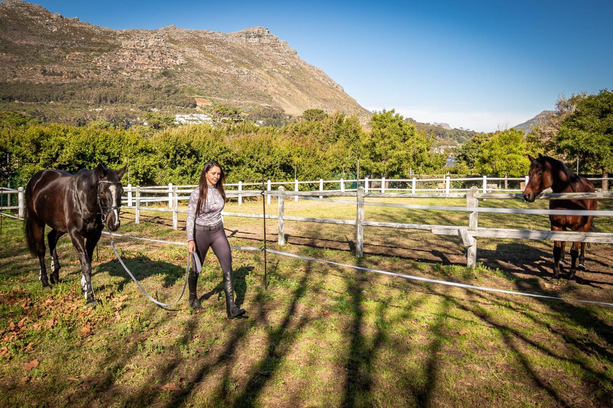 Novelle Vista Cottage Hout Bay Zewnętrze zdjęcie